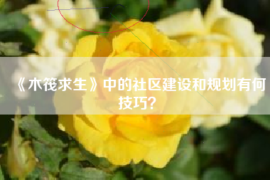 《木筏求生》中的社区建设和规划有何技巧？  第1张