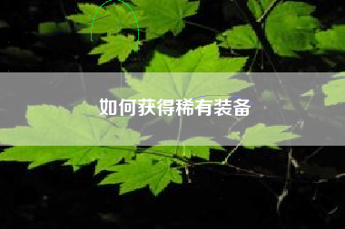 如何获得稀有装备  第1张