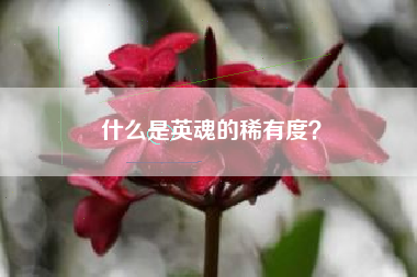 什么是英魂的稀有度？  第1张