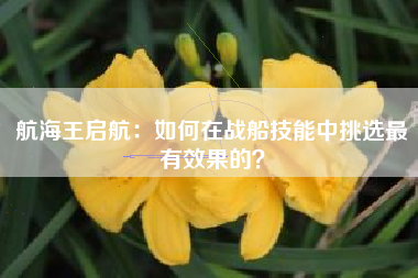 航海王启航：如何在战船技能中挑选最有效果的？  第1张