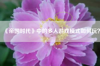 《帝国时代》中的多人游戏模式如何玩？  第1张