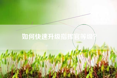 如何快速升级指挥官等级？  第1张