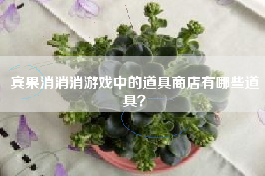 宾果消消消游戏中的道具商店有哪些道具？  第1张