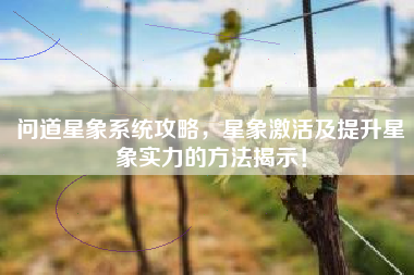 问道星象系统攻略，星象激活及提升星象实力的方法揭示！  第1张