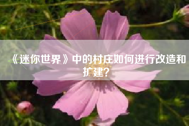 《迷你世界》中的村庄如何进行改造和扩建？  第1张