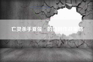 亡灵杀手夏侯惇的协同作战策略  第1张