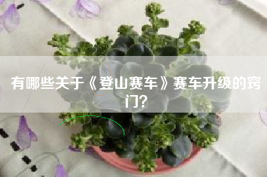 有哪些关于《登山赛车》赛车升级的窍门？  第1张