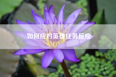 如何应对英雄任务反应  第1张