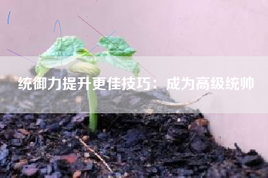 统御力提升更佳技巧：成为高级统帅  第1张
