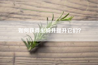 如何获得坐骑并提升它们？  第1张