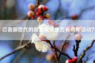 忍者新世代的游戏模式是否有周期活动？  第1张