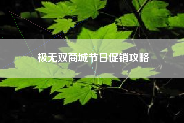 极无双商城节日促销攻略  第1张