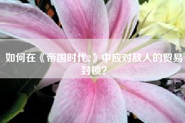 如何在《帝国时代2》中应对敌人的贸易封锁？  第1张