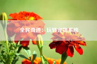 全民奇迹：玩转宠物系统  第1张