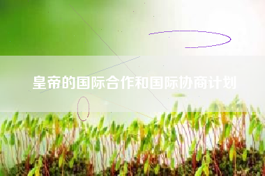 皇帝的国际合作和国际协商计划  第1张