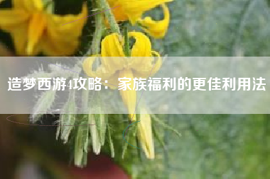 造梦西游4攻略：家族福利的更佳利用法  第1张