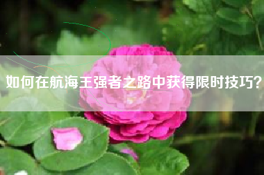 如何在航海王强者之路中获得限时技巧？  第1张