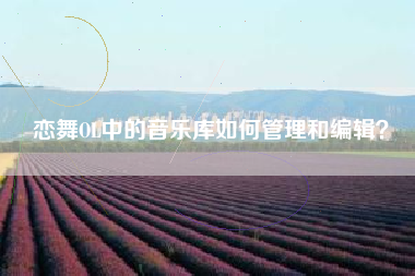 恋舞OL中的音乐库如何管理和编辑？  第1张