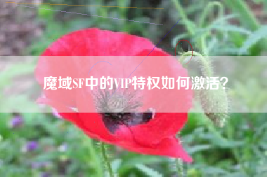 魔域SF中的VIP特权如何激活？  第1张