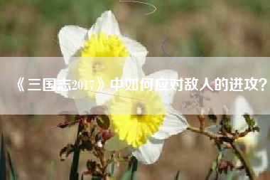 《三国志2017》中如何应对敌人的进攻？  第1张