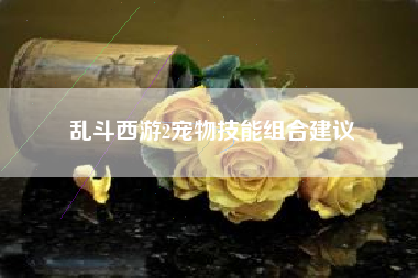 乱斗西游2宠物技能组合建议  第1张