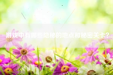 游戏中有哪些隐秘的地点和秘密关卡？  第1张