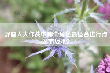野蛮人大作战中哪个角色最适合进行点对面战术？  第1张