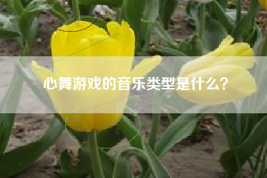 心舞游戏的音乐类型是什么？  第1张